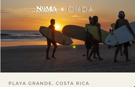 Noma Collective Costa Rica Edition image